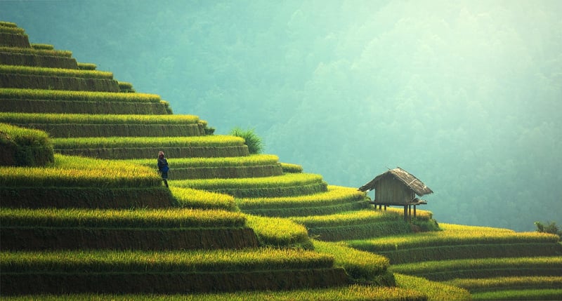 Sustainable Home Decoration